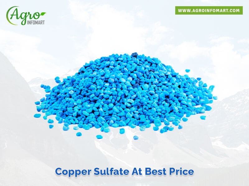 copper sulfate Wholesale