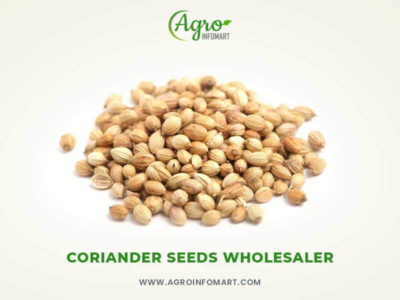 coriander seeds Wholesale