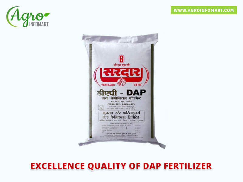 dap fertilizer  Wholesale
