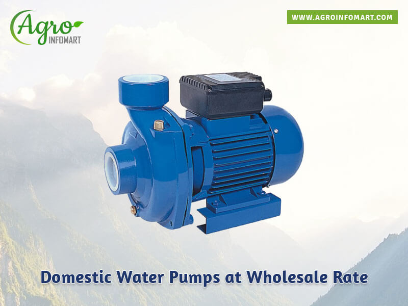 domestic water pumps Wholesale