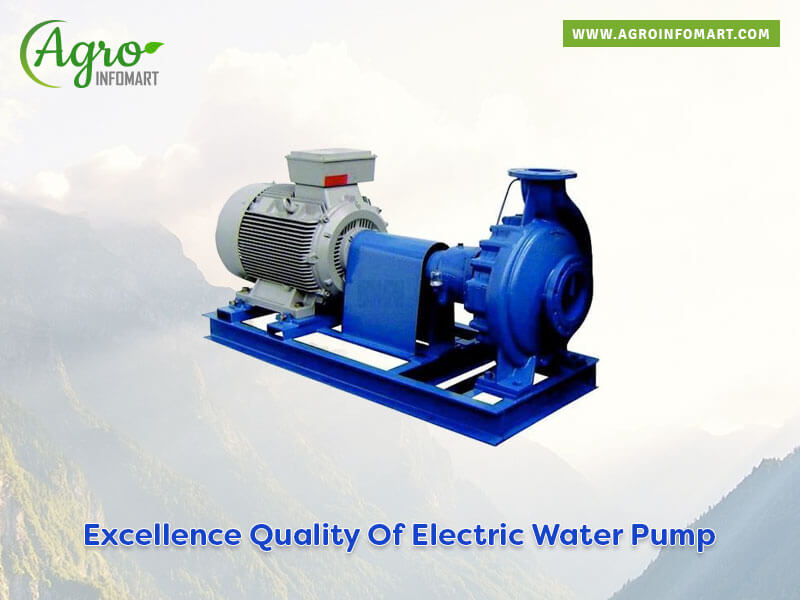 electric water pump Wholesale