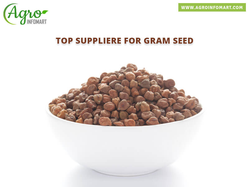 gram seed Wholesale