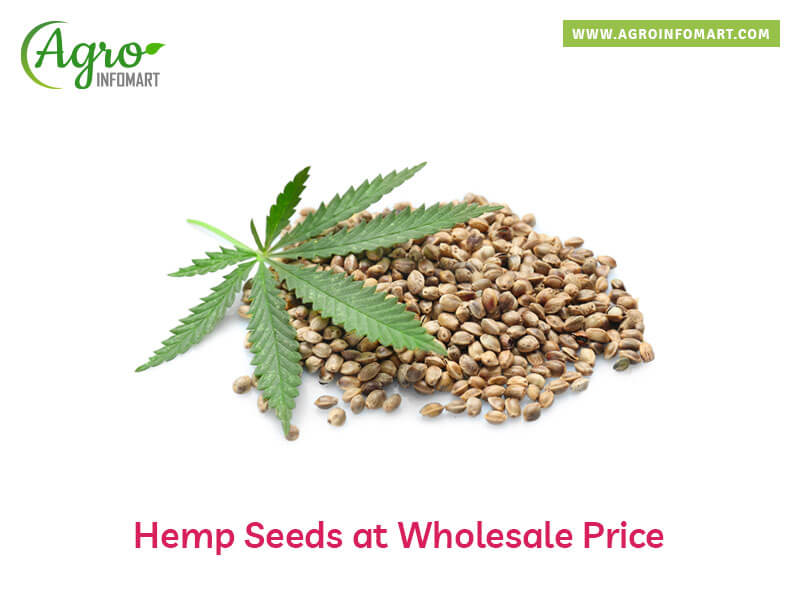 hemp seeds Wholesale