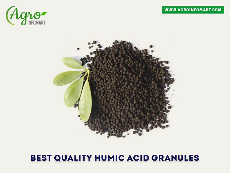 humic acid granules Wholesale