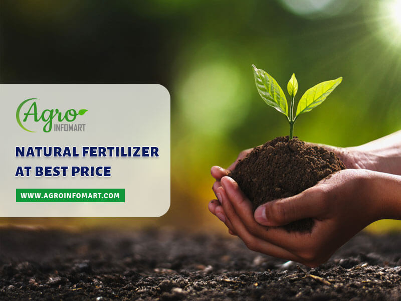 natural fertilizer Wholesale
