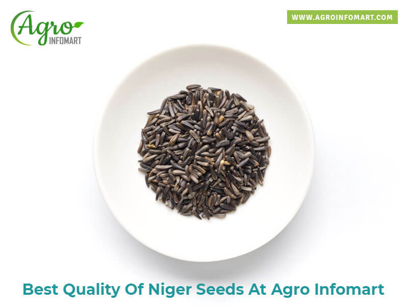 niger seeds Wholesale