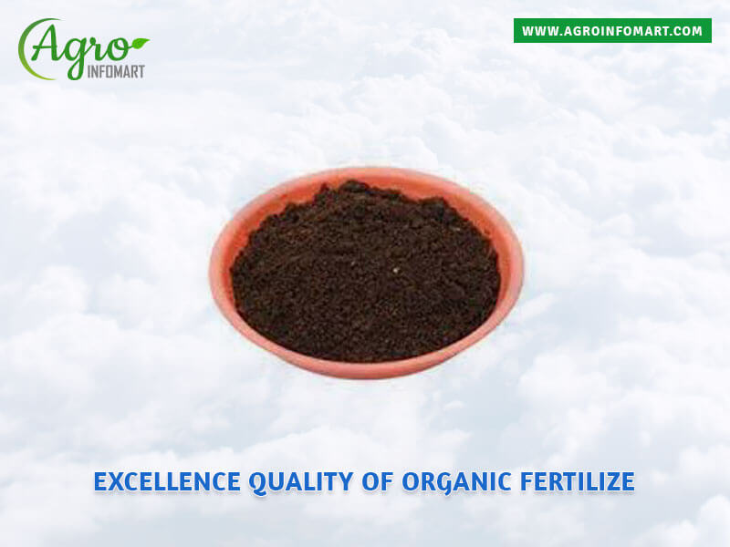 organic fertilizer Wholesale