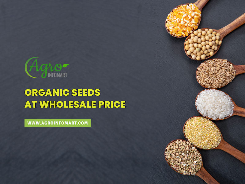 organic seeds Wholesale