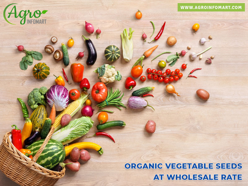 organic vegetable seeds Wholesale
