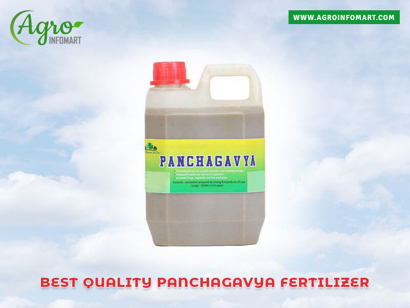 panchagavya fertilizer Wholesale
