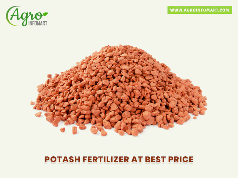 potash fertilizer Wholesale