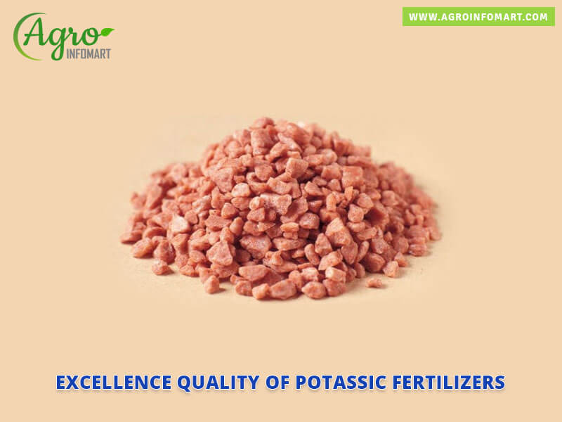 potassic fertilizers Wholesale