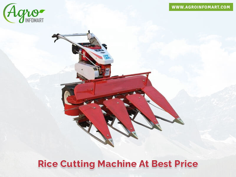rice cutting machine Wholesale