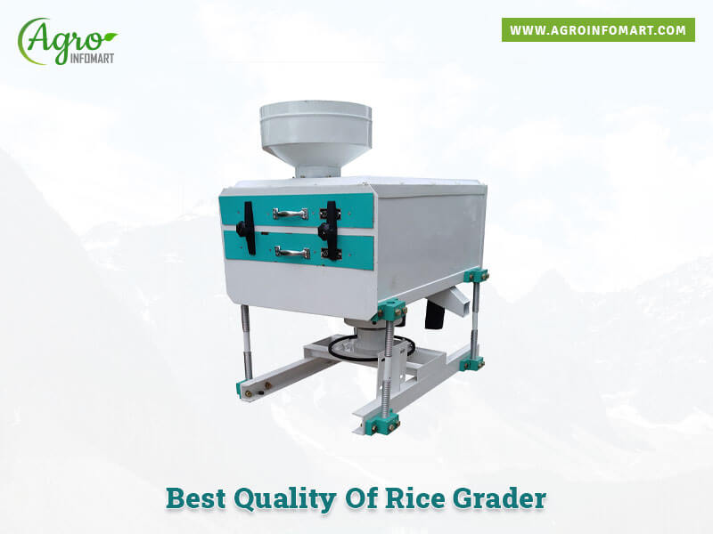 rice grader Wholesale