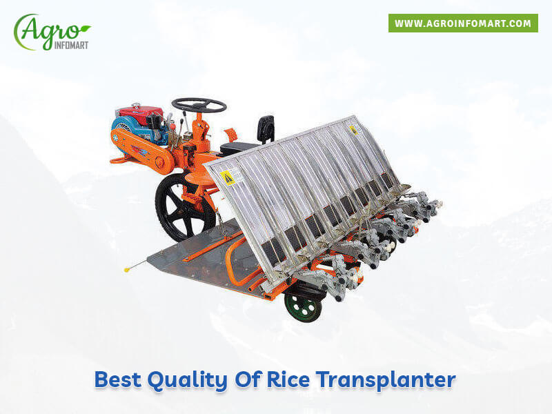 rice transplanter Wholesale