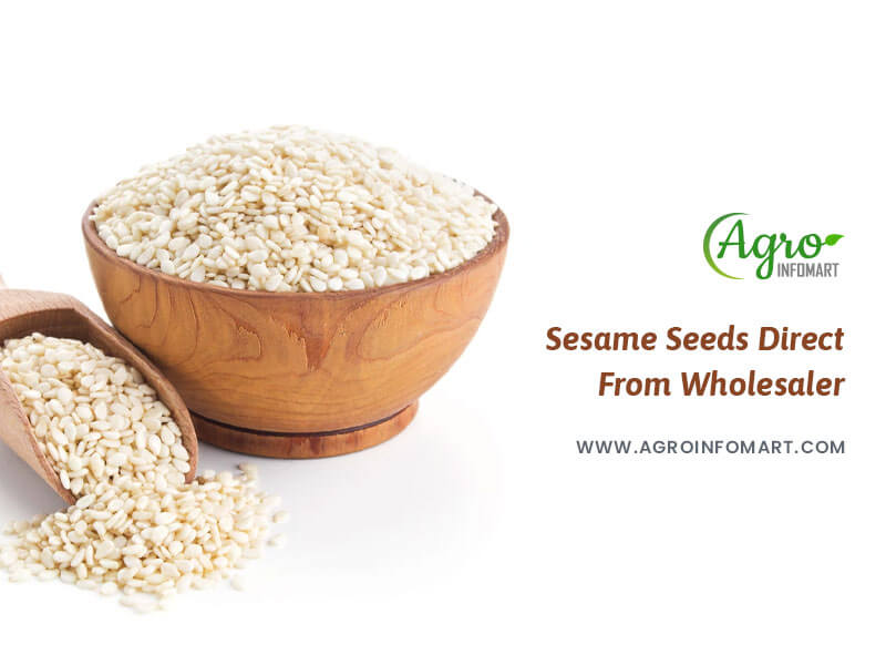 sesame seeds Wholesale