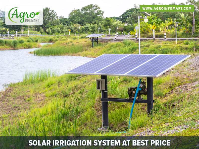 solar irrigation system Wholesale