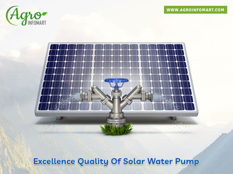 solar water pump Wholesale