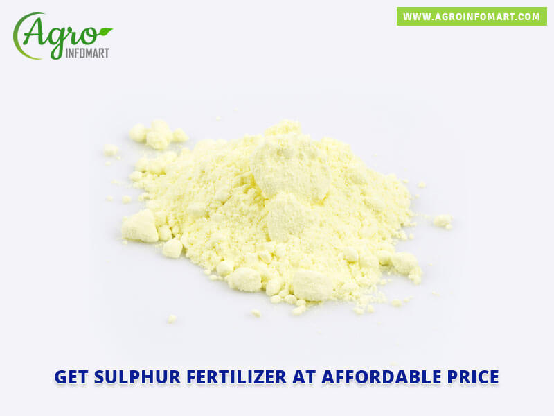 sulphur fertilizer Wholesale