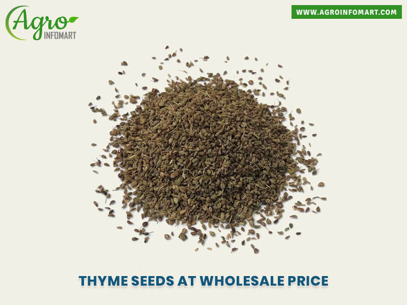 thyme seeds Wholesale