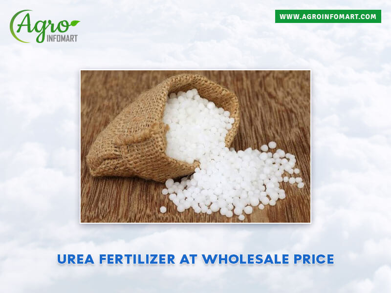 urea fertilizer Wholesale