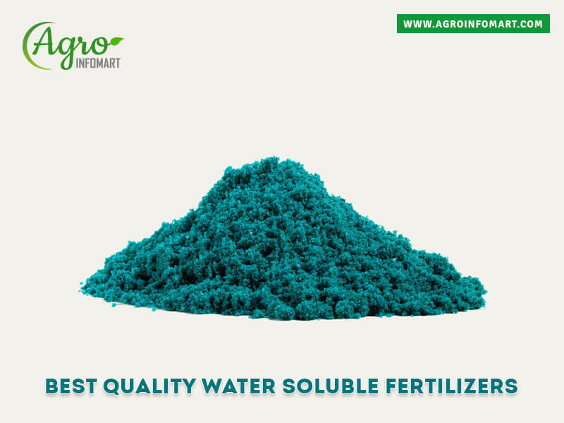 water soluble fertilizers Wholesale