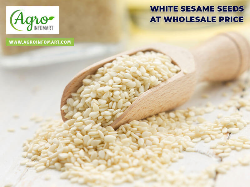 white sesame seeds Wholesale