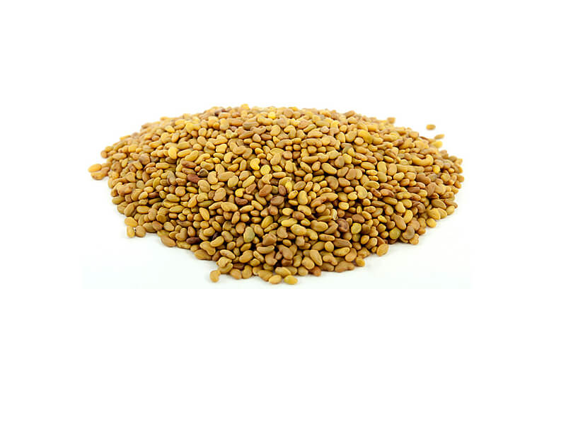 alfalfa seeds companies list