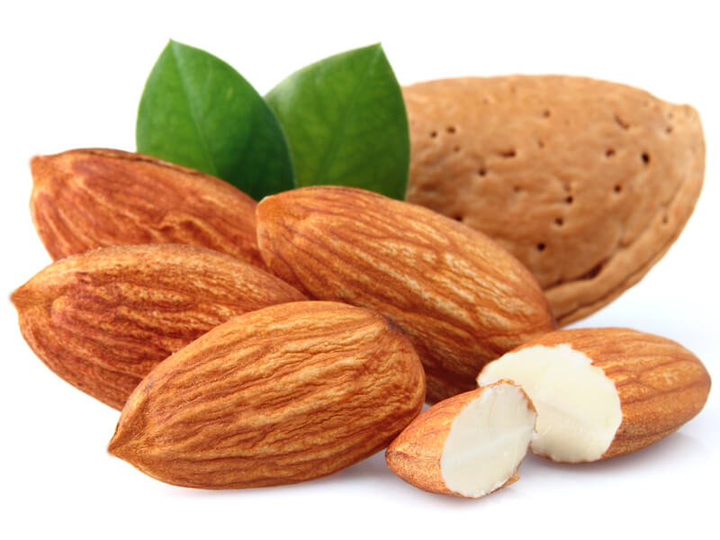 almond seed companies list
