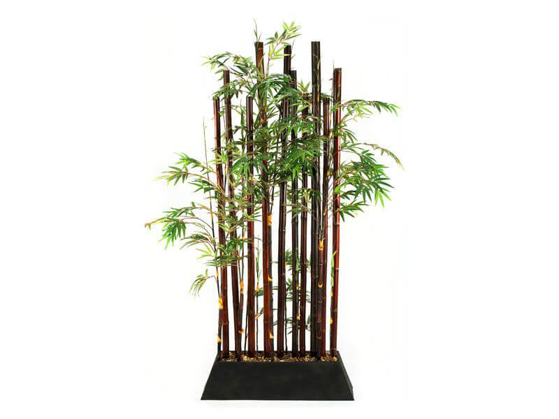bamboo plants companies list
