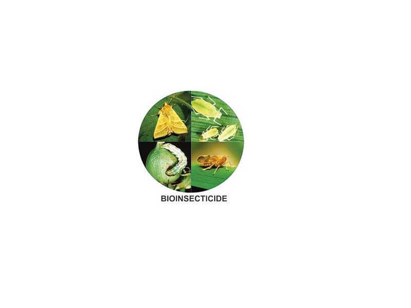 bioinsecticides companies list