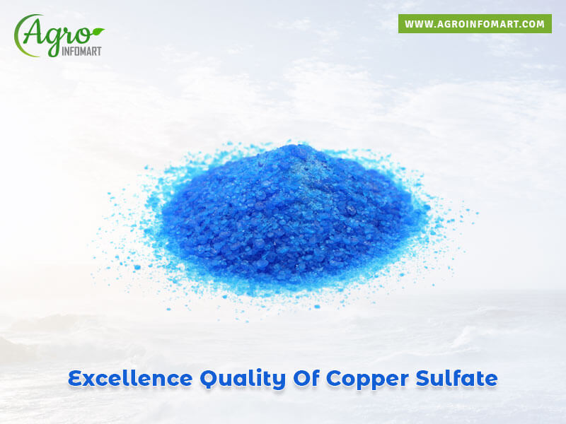 copper sulfate companies list