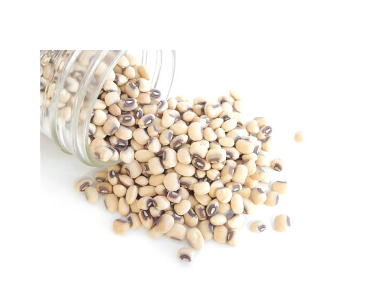 cowpea seeds companies list