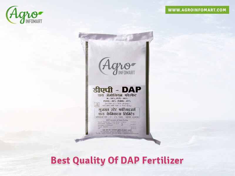 dap fertilizer  companies list