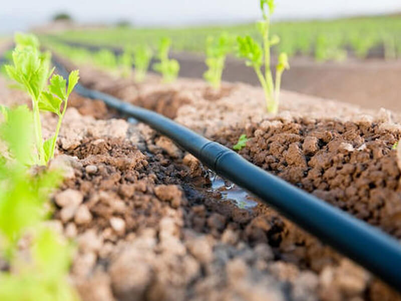 drip irrigation companies list