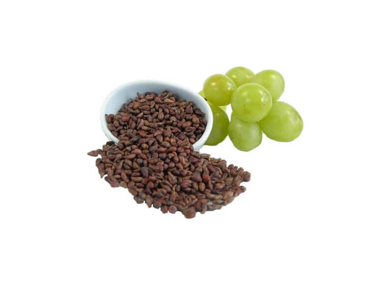 grape seed companies list