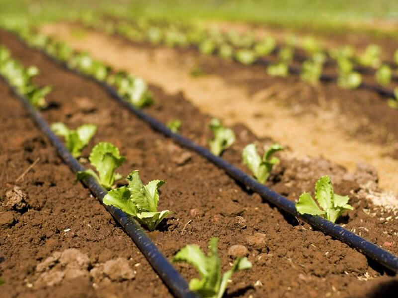 micro irrigation companies list