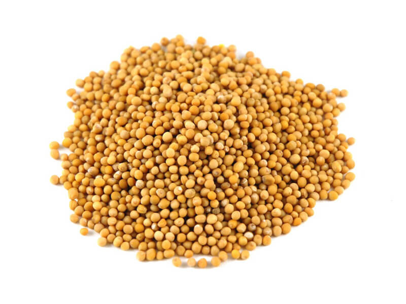 mustard seeds companies list