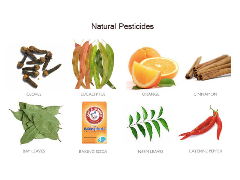 natural pesticides companies list