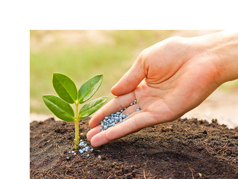 organic fertilizer companies list