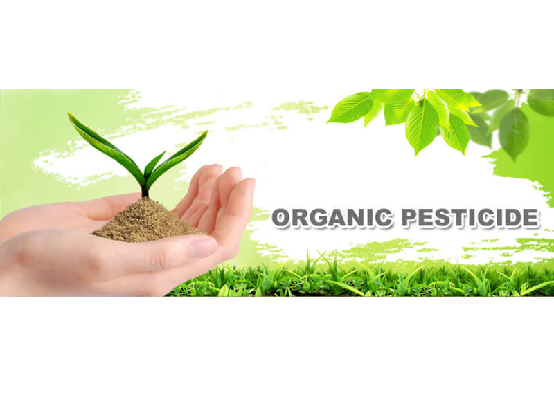organic pesticides companies list