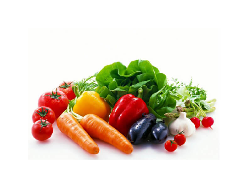 organic vegetable seeds companies list