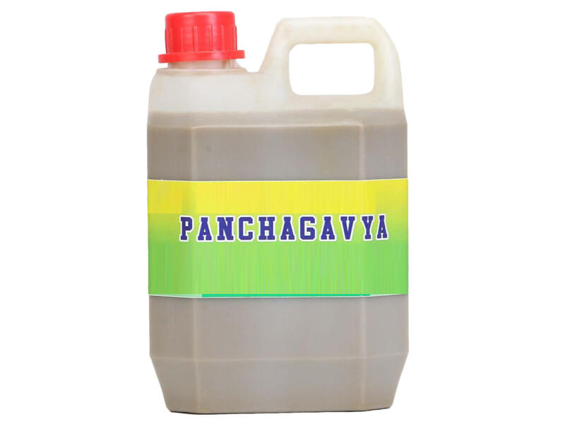 panchagavya fertilizer companies list