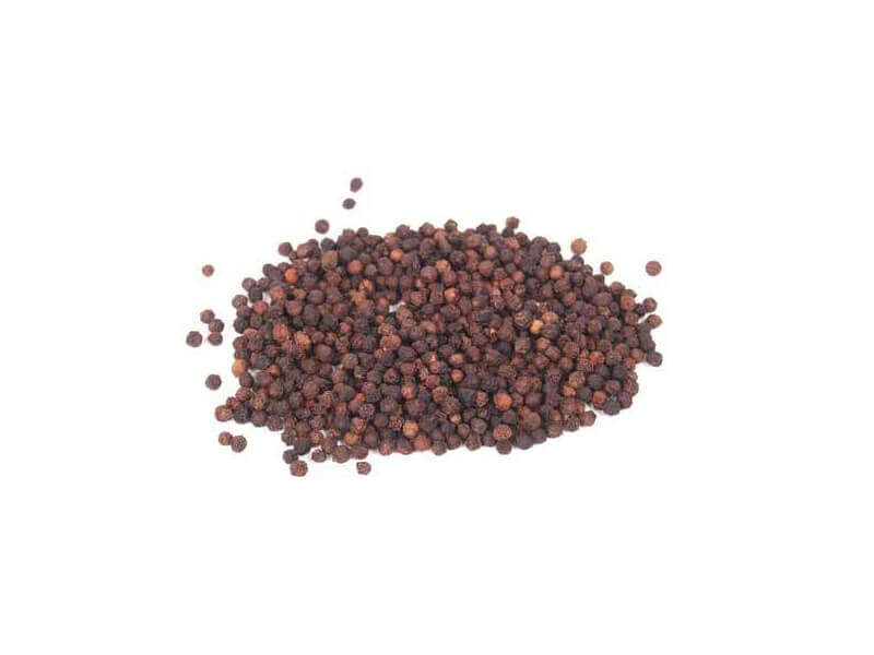 pepper seeds companies list
