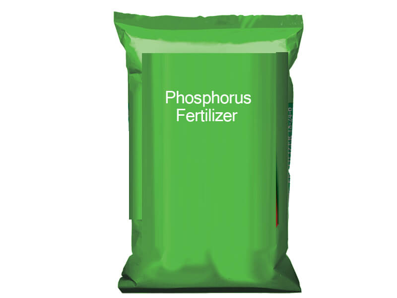 phosphorus fertilizer companies list