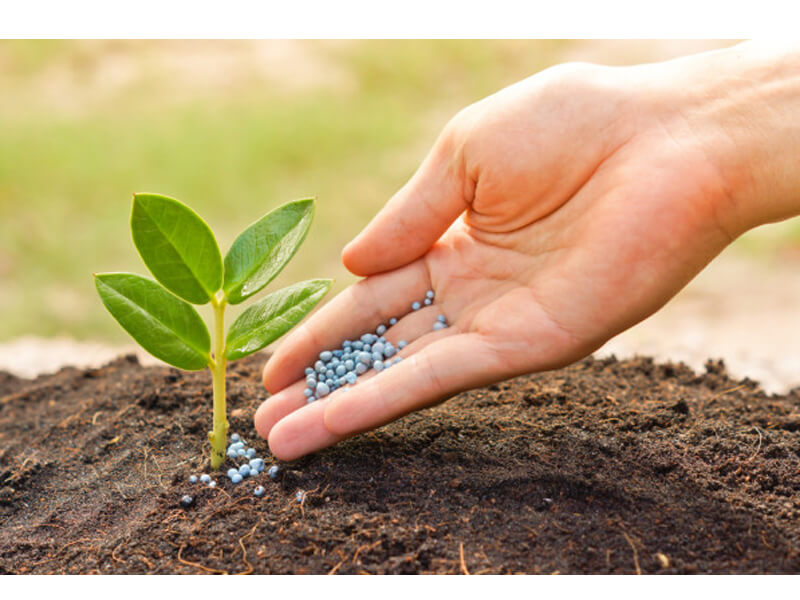 plant fertilizer companies list