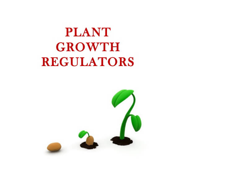 plant growth regulators companies list