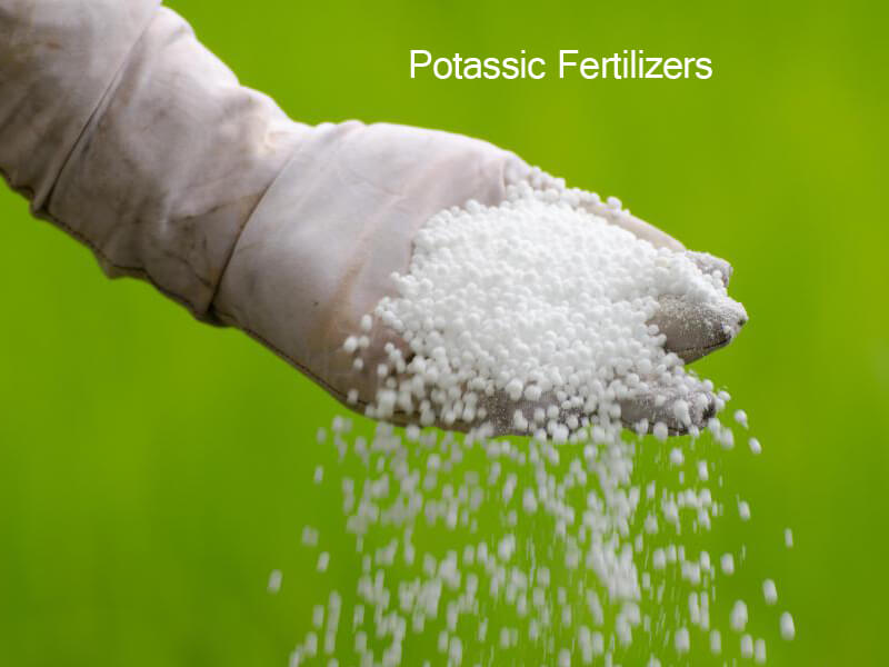 potassic fertilizers companies list