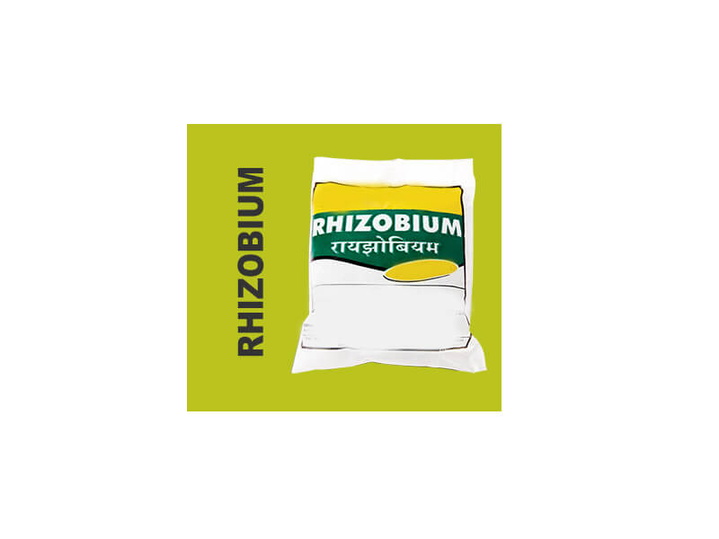 rhizobium biofertilizer companies list