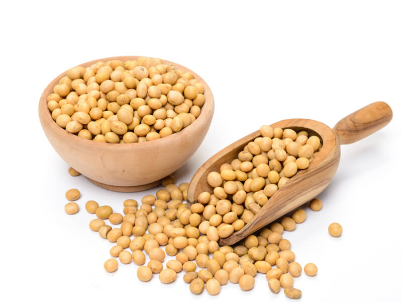 soybean seeds companies list